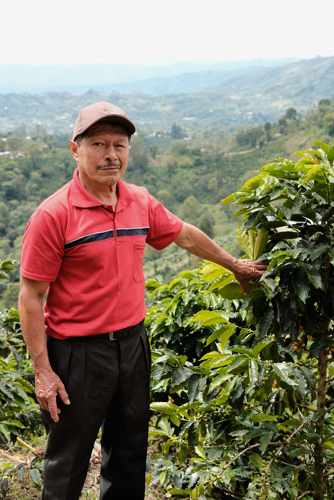Orlando Quinayas, Washed Red Caturra & Tabi, Colombia