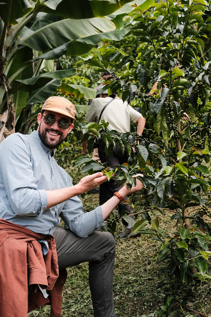 Orlando Quinayas, Washed Red Caturra & Tabi, Colombia
