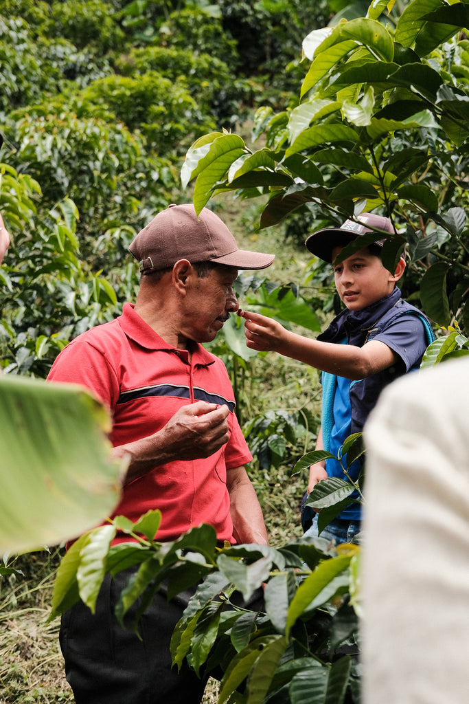 Orlando Quinayas, Washed Red Caturra & Tabi, Colombia