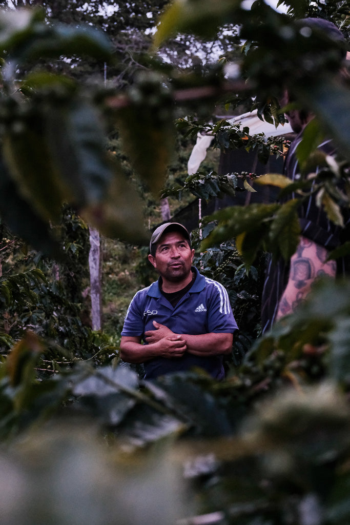 Esnaider Ortega Gomez & Family, Washed Sidra, Colombia