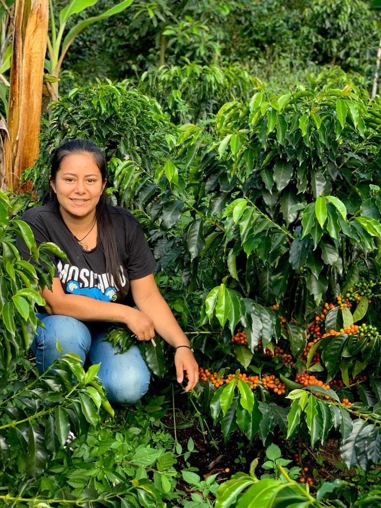 Marleny Galindez & Daughters, Washed Pink Bourbon, Colombia