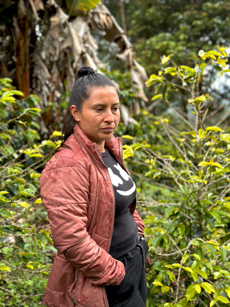 Los Magnificos, Washed Gesha, Colombia