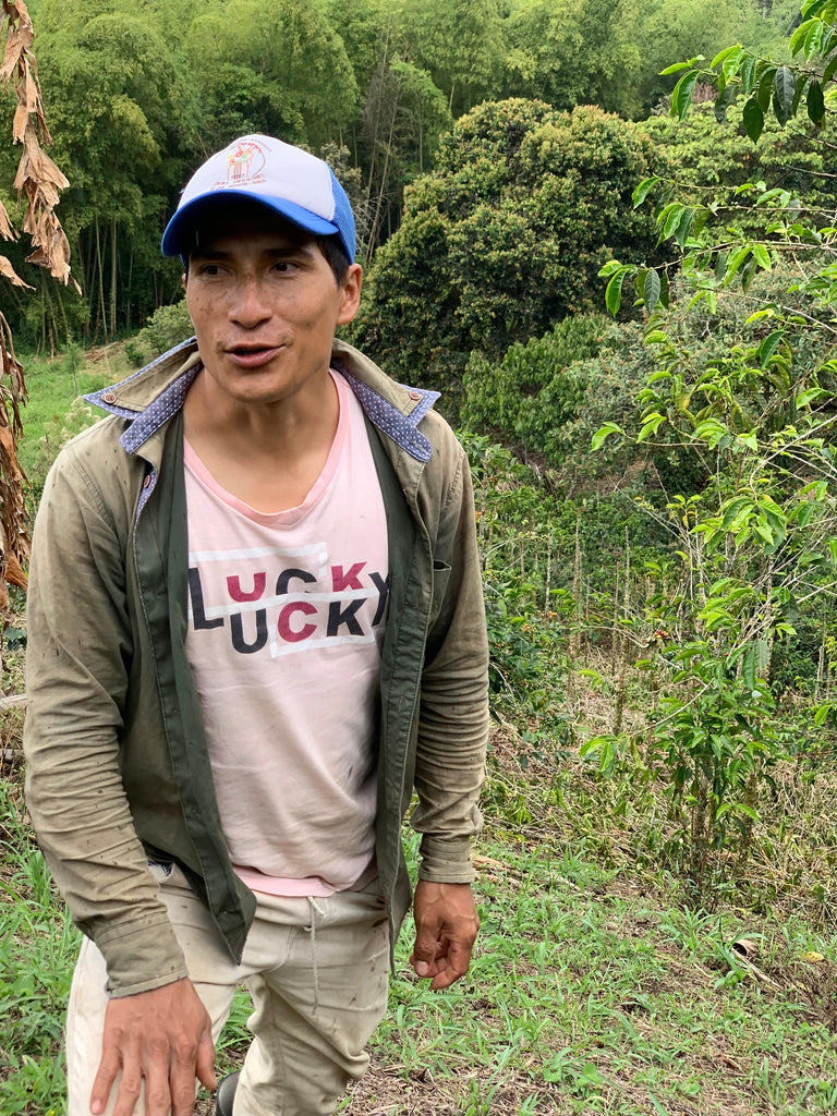 Los Magnificos, Washed Gesha, Colombia